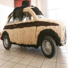 全球“最多毛”汽车即将拍卖 曾被列入吉尼斯纪录
