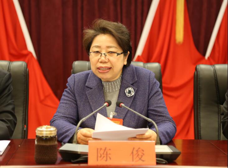 商洛市市委书记陈俊