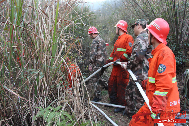 武警常德支队官兵成功扑灭一起森林山火