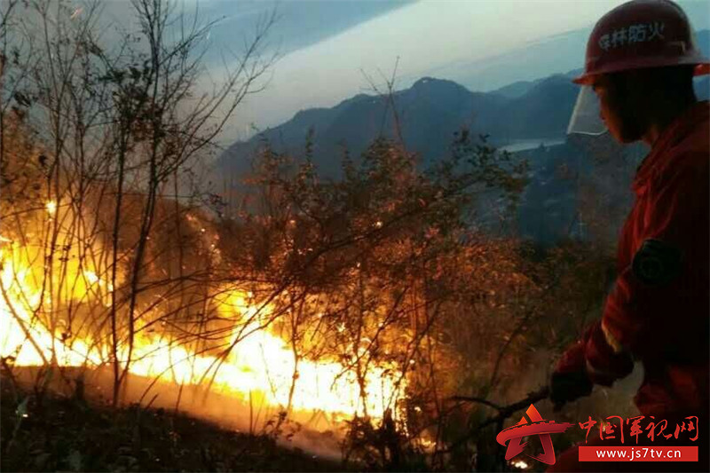 武警常德支队官兵成功扑灭一起森林山火