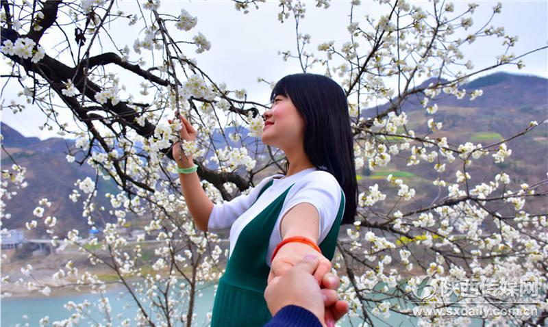 春风十里，来白河前坡赏樱桃花【5】