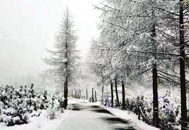 陕西暴雪应急响应提升至三级 西安明最低0℃