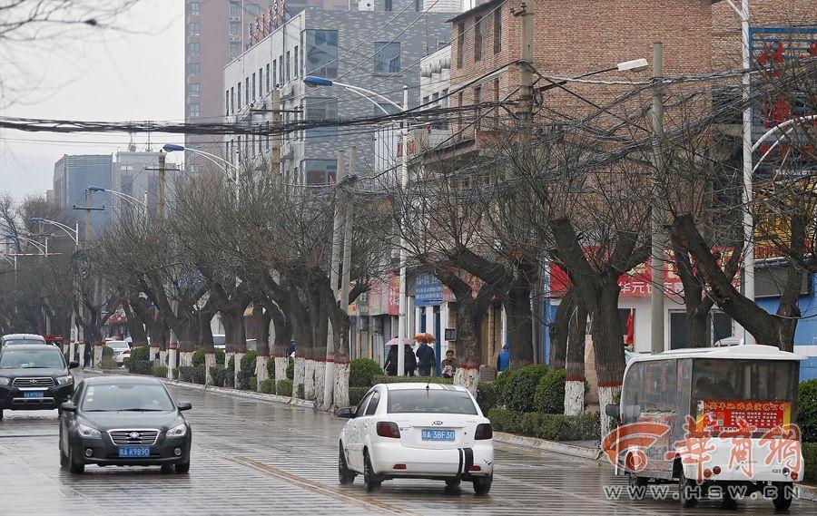 地铁九号线开建在即 洪庆208株行道树将迁移【2】