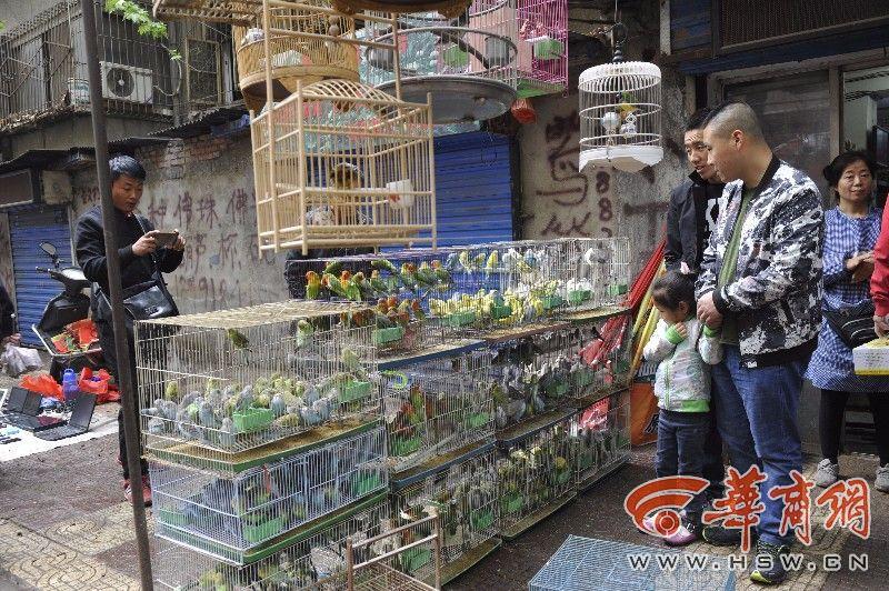 7部门集中整顿西仓集市 占道经营情况明显减少【6】