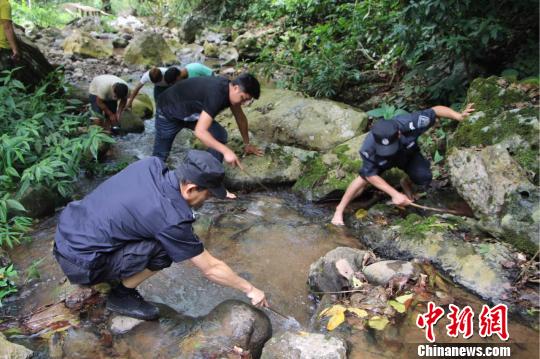 游客在西双版纳放生“生态杀手”鳄龟涉嫌违法将被罚