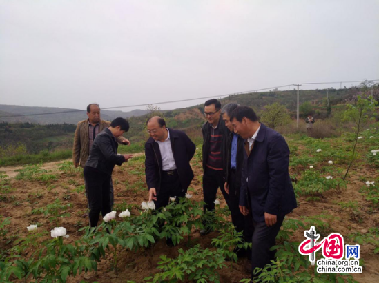 西安司法局精准扶贫 积极调研石湾村帮扶工作落实