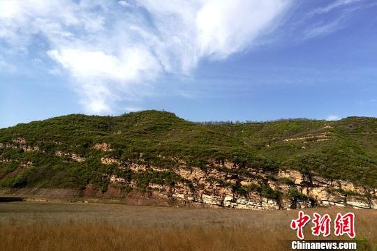铜川发现罕见2.5亿年前远古生物陆地活动遗迹