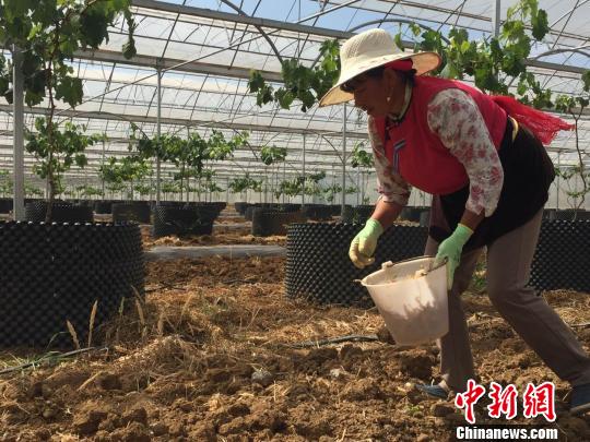 云南大理:茶马古道千年古驿扶贫记