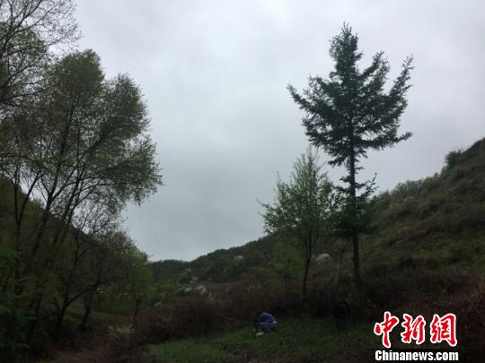 甘肃林区白河村脱贫之艰：被“骗”进村媳妇熬成婆