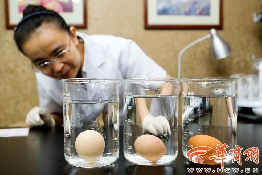 你买的鸡蛋新鲜吗 记者亲测这些办法在家也可以试【2】