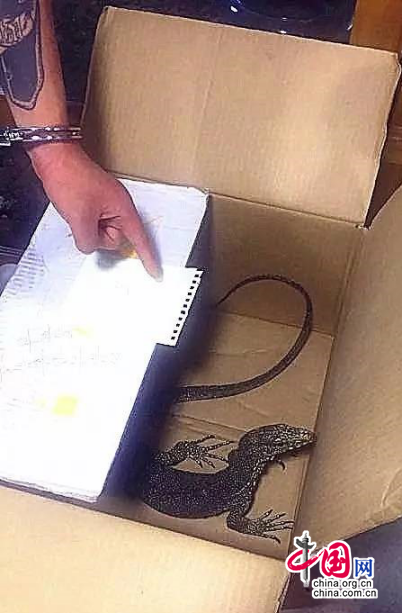 西安警方查获一起非法收购出售濒危野生动物案