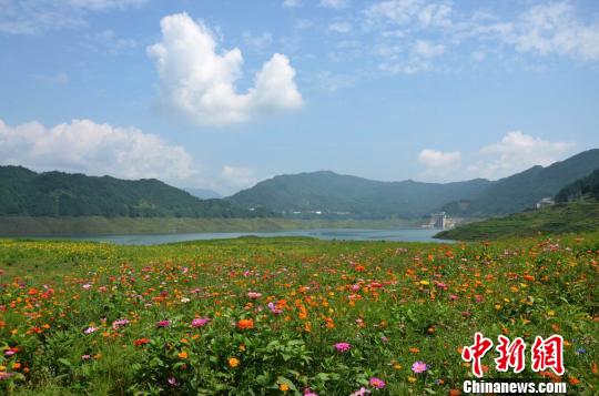 各类野花竞相绽放 李万双 摄 各类野花竞相绽放 李万双 摄