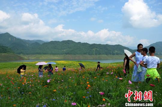 游人陶醉于花海中 李万双 摄 游人陶醉于花海中 李万双 摄