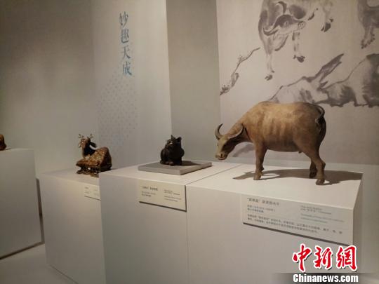 参展的部分展品。 王鹏 摄 参展的部分展品。 王鹏 摄