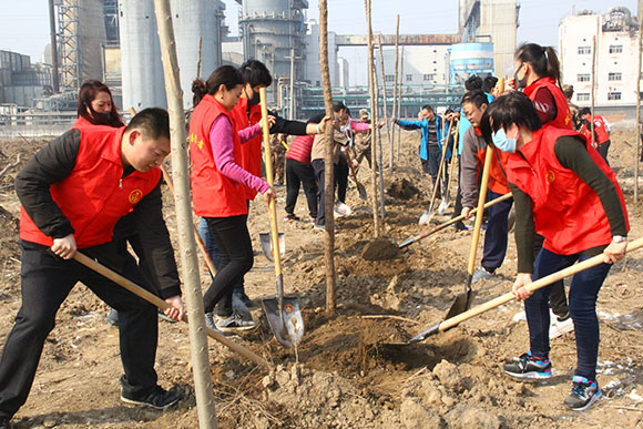 图五：市民政局直属单位参加植树造林