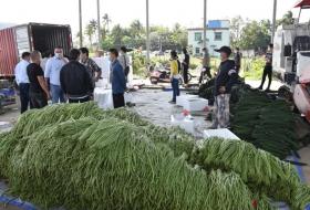 礼纪镇贡举村向万宁市复工复产企业捐赠20万斤瓜果蔬菜