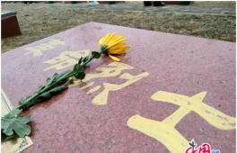 兰州市71家党团组织与474位无名烈士结为“亲人”