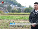 “兵支书”王勇：扎根家乡，带乡亲们蹚出致富路
