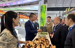 陈皮茶香满“津门” 侨乡军创闪亮 二十二届天津农交会