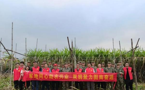 广州市南沙区军地携手为蔗农解“甜蜜烦恼”