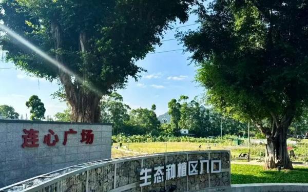 七十载军民连心路 黄埔古村打造沉浸式国防教育实景课堂